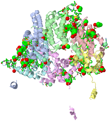 Image Asym./Biol. Unit - sites