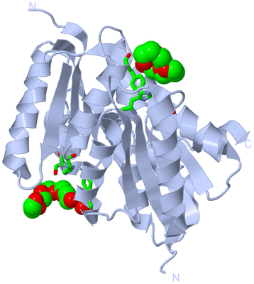 Image Biol. Unit 1 - sites