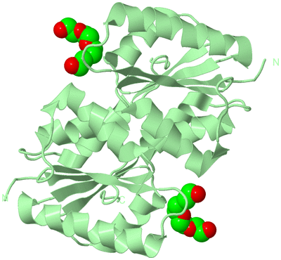 Image Biological Unit 2