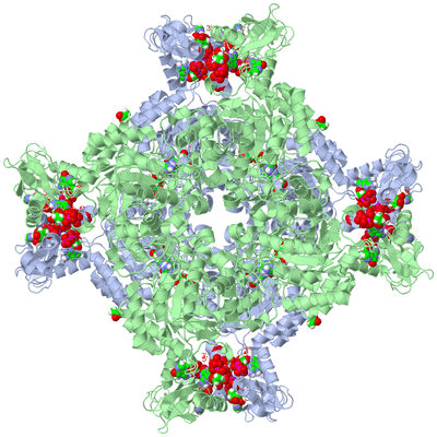 Image Biological Unit 1