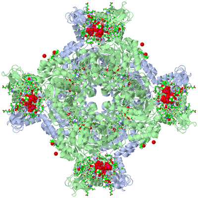 Image Biol. Unit 1 - sites