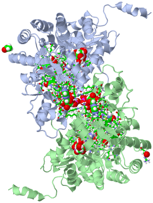 Image Asym. Unit - sites