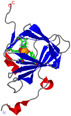 Image Asym. Unit - sites