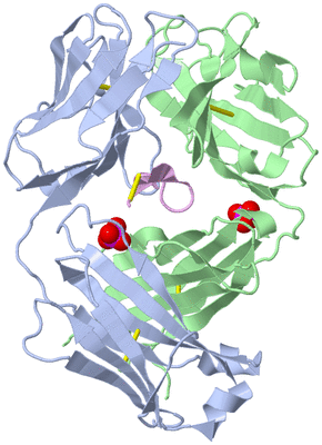 Image Biological Unit 1