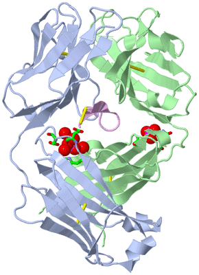 Image Biol. Unit 1 - sites