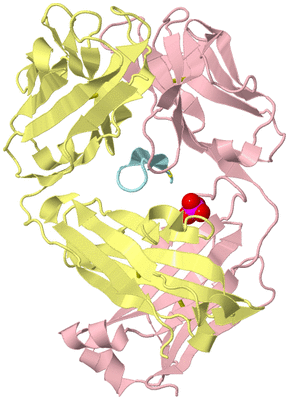 Image Biological Unit 2