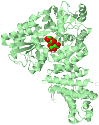 Image Biological Unit 2