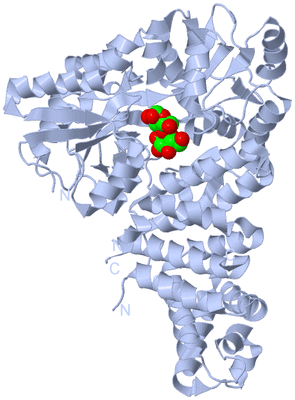 Image Biological Unit 1