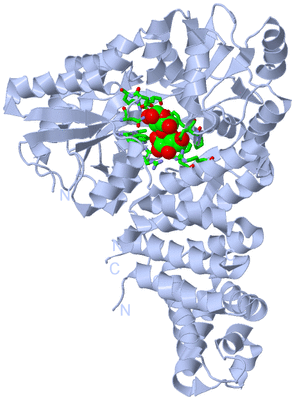 Image Biol. Unit 1 - sites