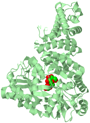 Image Biological Unit 2