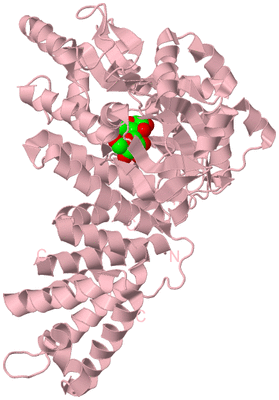 Image Biological Unit 3