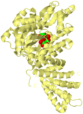 Image Biological Unit 4