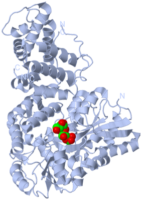 Image Biological Unit 1