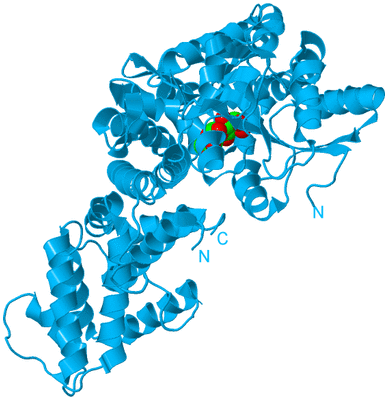 Image Biological Unit 10