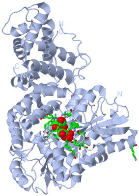 Image Biol. Unit 1 - sites