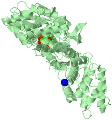 Image Biological Unit 2