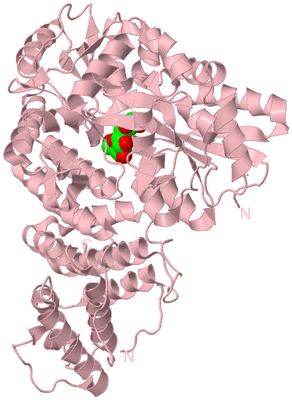 Image Biological Unit 3