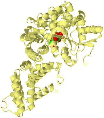 Image Biological Unit 4