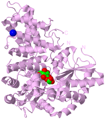 Image Biological Unit 5