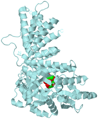 Image Biological Unit 6