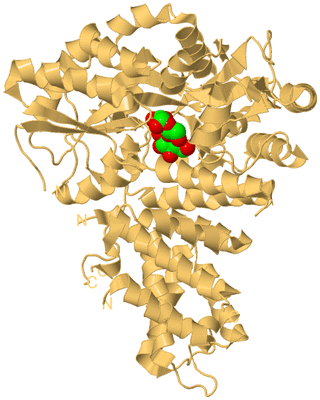 Image Biological Unit 7