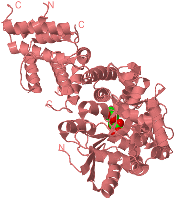 Image Biological Unit 8