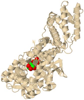 Image Biological Unit 9