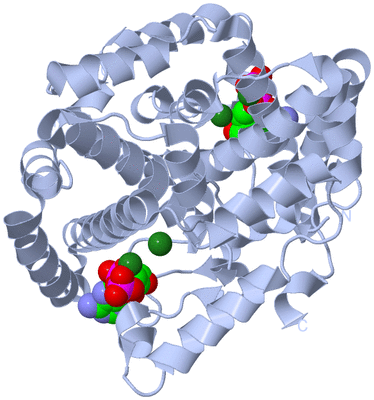 Image Biological Unit 1