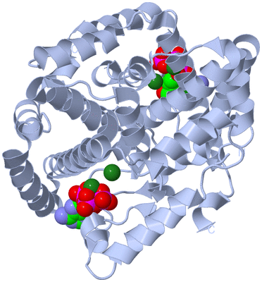 Image Biological Unit 1