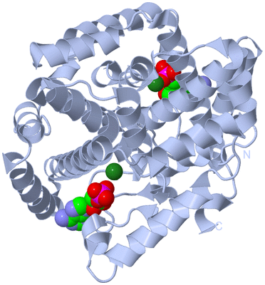 Image Biological Unit 1