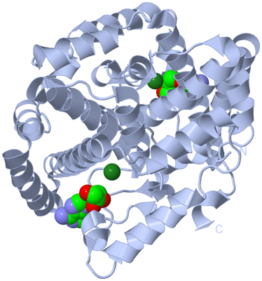 Image Biological Unit 1