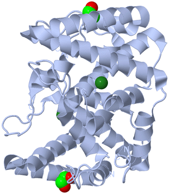 Image Biological Unit 1