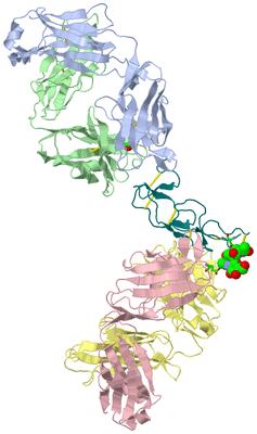 Image Biol. Unit 1 - sites