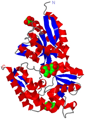 Image Asym./Biol. Unit