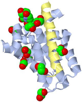 Image Biological Unit 1