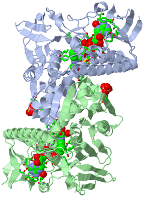 Image Biol. Unit 1 - sites