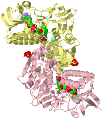 Image Biological Unit 2