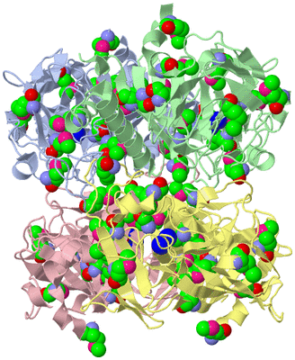 Image Asym./Biol. Unit