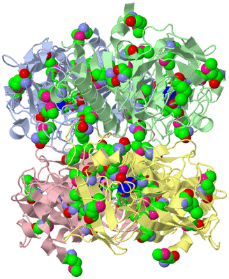 Image Asym./Biol. Unit - sites