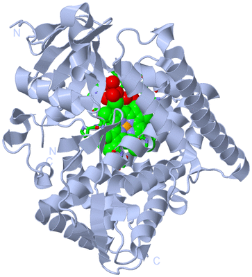 Image Biol. Unit 1 - sites