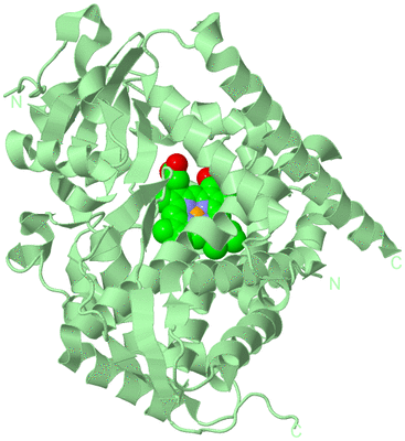 Image Biological Unit 2