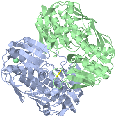 Image Asym./Biol. Unit