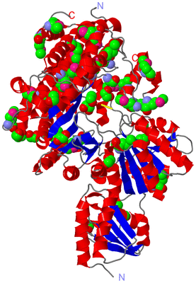 Image Asym./Biol. Unit