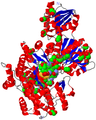 Image Asym./Biol. Unit