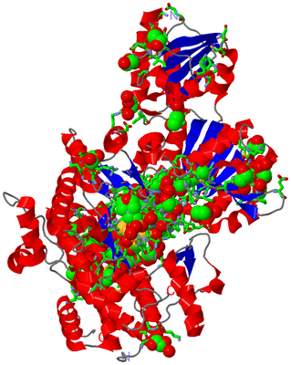 Image Asym./Biol. Unit - sites