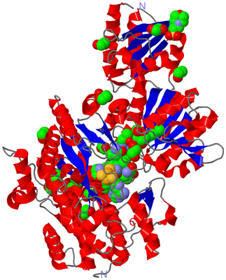 Image Asym./Biol. Unit