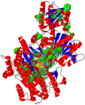 Image Asym./Biol. Unit - sites