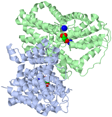 Image Biological Unit 1