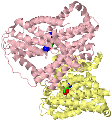 Image Biological Unit 2