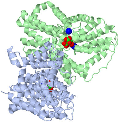 Image Biological Unit 1